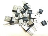XSEM-73053280_1.jpg