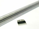 XSEM-99025681_1.jpg