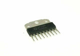 XSEM-99025681_2.jpg